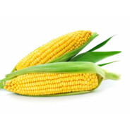 Corn