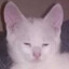 Gumptious Gregory