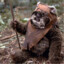 Ewok_Engineer