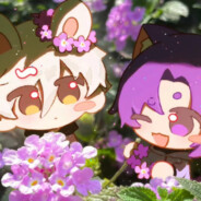 碳猫一只拆袋可食