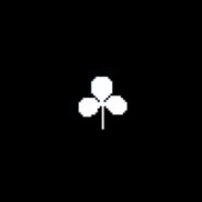 a clover of memories