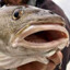 FISK 2.0