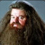 HaGRID