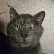 meawqq