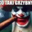 Co Taki Grzybny?