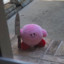 kachinia