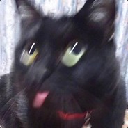 逼宝老师骑骆驼也可以征服摩天大楼-NM$L