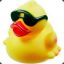 Rubber_duck_in_sunnies