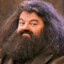 Rubeus Hagrid