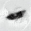 -=VimeR=-2.0