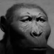 ⚡⚡电起脚尖⚡⚡