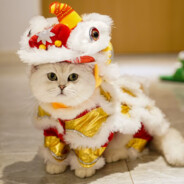 不上双AK不碰任意首饰丶