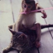 UK丶阿罪  我喜欢躺