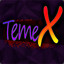 |TemeX|VIVO|