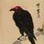 KARASU