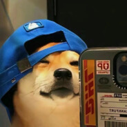 小瑞不爱睡大觉