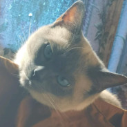 朋友你感受过绝望吗