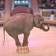 Snaxsisi - steam id 76561199825724316