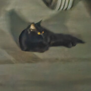 我沐浴在铝热剂中