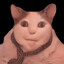 Zoch