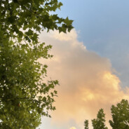 天才马枪选手Yz