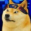 UnderDoge