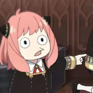 爱探险的玉桂狗