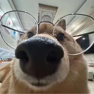 冰雪中的华尔兹