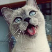 梦游青春丶荣耀