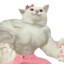 Neko