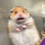 Jiff
