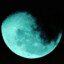 aliennw