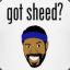 ShEed ]