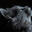 Blacksun