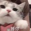 珍珠奶猹