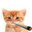 ahx286whwsh17mf01n