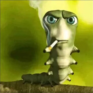 kacsary