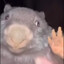 Bober's avatar