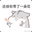 littlecute12138