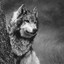 WolF_