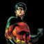 Robin _Arkham_ Series