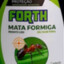 JORGIN MATA FORMIGA