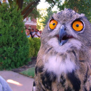 ВсЕ УмРуТ а Я гРеЙ