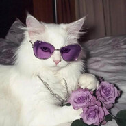 Toksik - steam id 76561198343746098