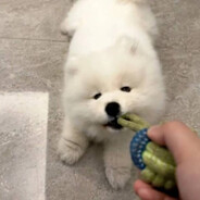 玩家头像