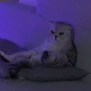 пенис из трущоб