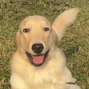 张啵啵和格子裤