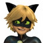 Cat noir