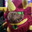 BeastMiner