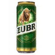 Żubr